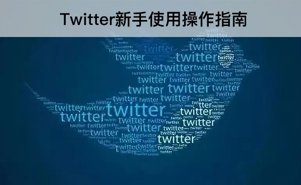 外贸课程：Twitter新手使用操作指南